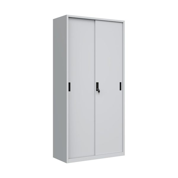 Super quality two door steel furniture office filing cabinets steel storage cabinet metal filing cupboard for Home and School Office Use - 图片 2