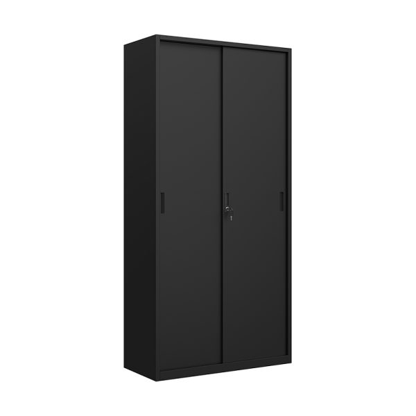 Super quality two door steel furniture office filing cabinets steel storage cabinet metal filing cupboard for Home and School Office Use - 图片 3